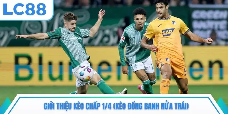 Giới thiệu kèo chấp 1/4 (kèo đồng banh nửa trái)