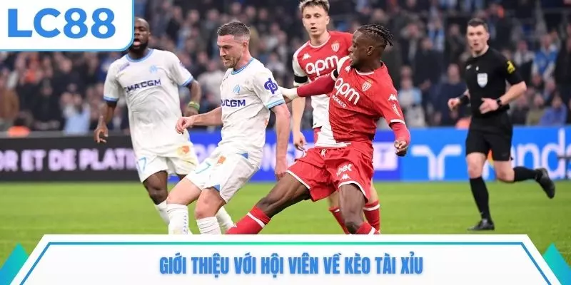 Giới thiệu với hội viên về kèo tài xỉu