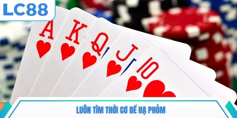 Luôn tìm thời cơ để hạ phỏm