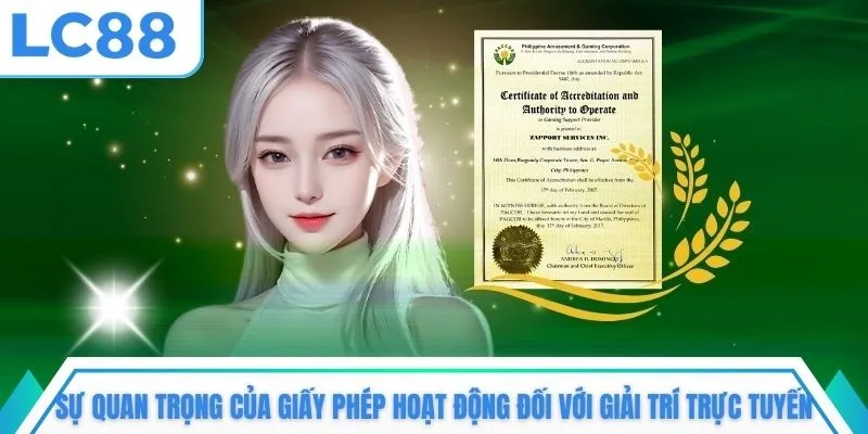 Sự quan trọng của giấy phép hoạt động đối với giải trí trực tuyến