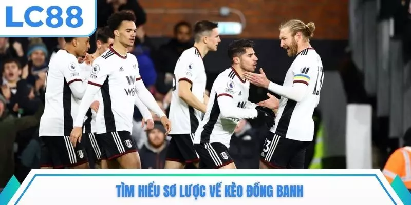Tìm hiểu sơ lược về kèo đồng banh